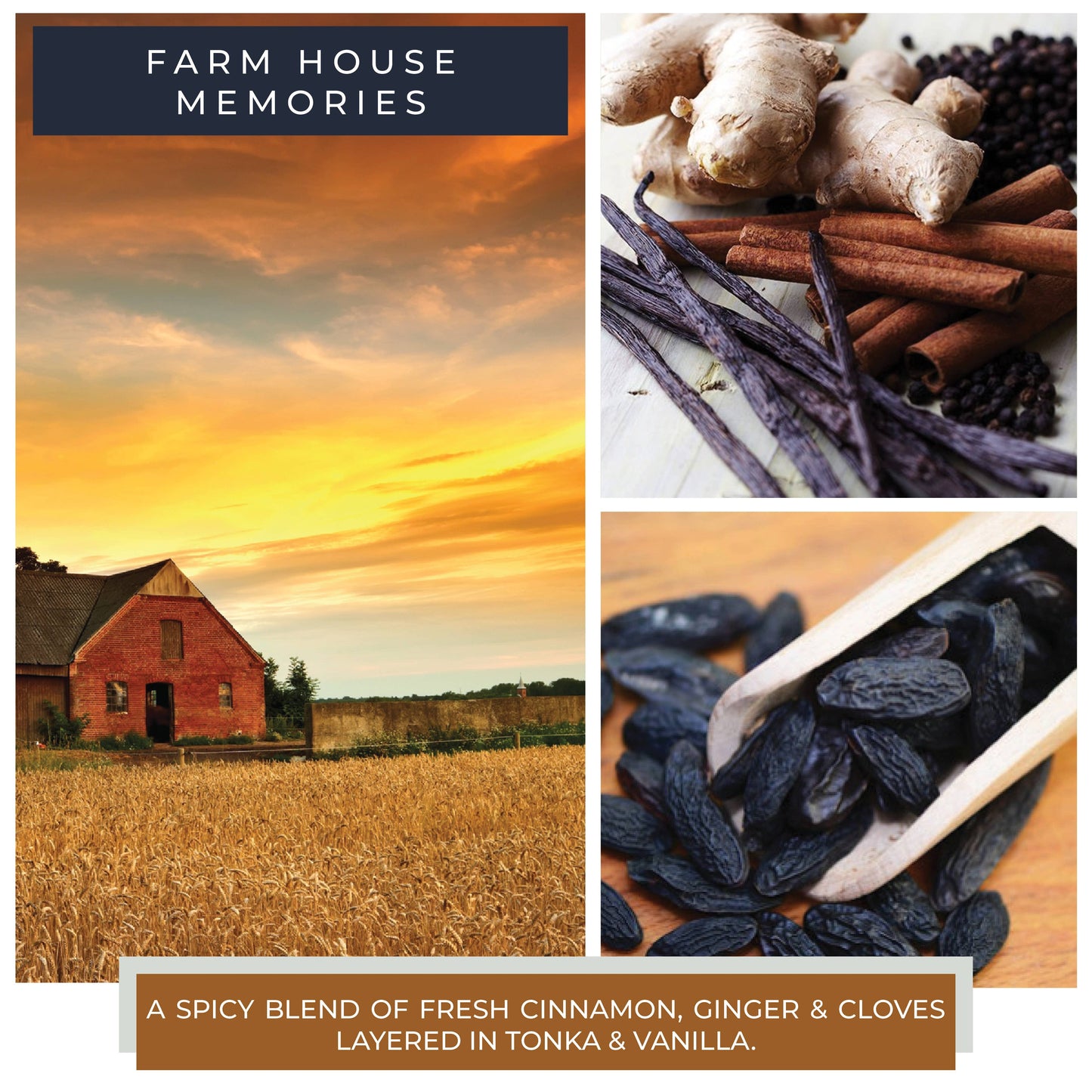 Melts (8/box) - Farm House Memories