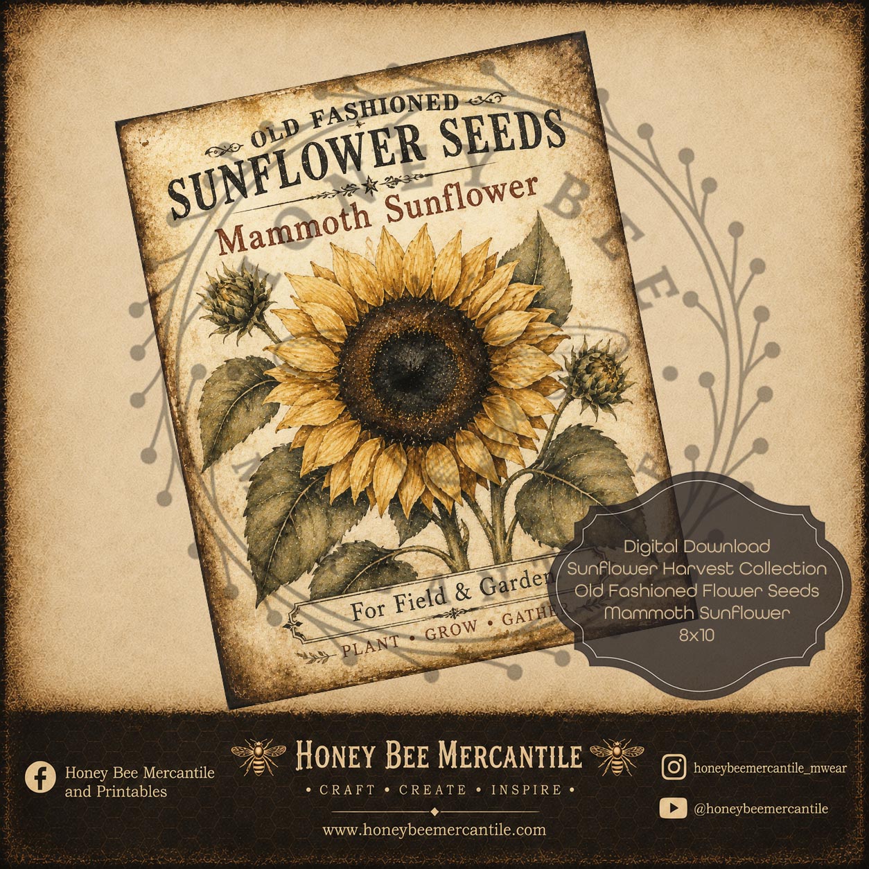 Old Fashioned Sunflower Seeds, Mammoth, 8x10, Digital Download, Printable, Decoupage, Craft Supplies