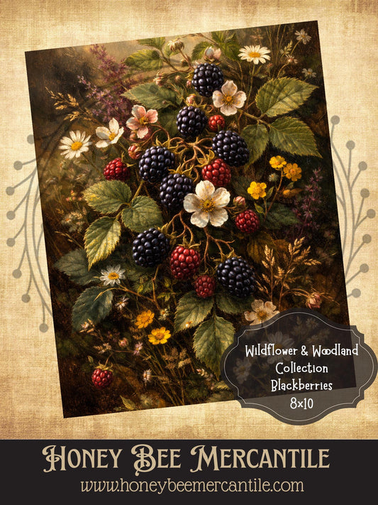 RICE PAPER PRINT - Wildflower & Woodland Collection, Blackberries, Blackberry, 8x10, Decoupage, Vintage, Primitive, Craft Supplies