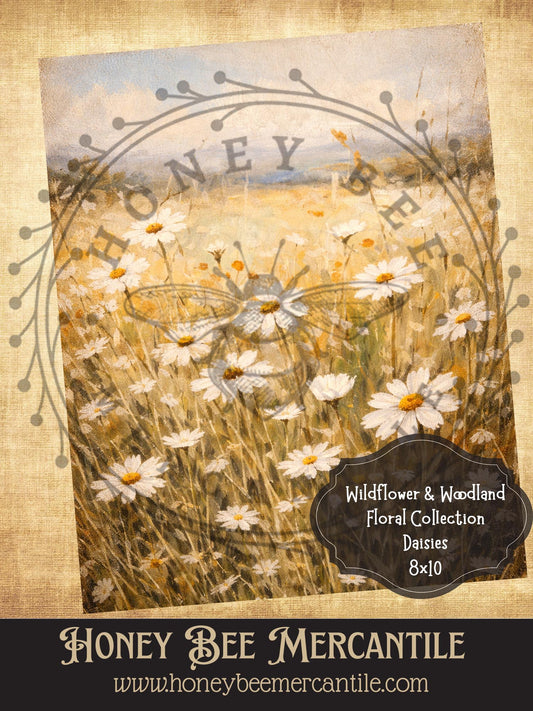 RICE PAPER PRINT - Wildflower and Woodland Collection, Daisies, Daisy, 8x10, Decoupage, Vintage, Primitive, Craft Supplies
