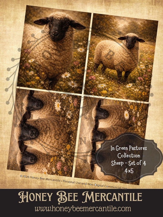 In Green Pastures Collection - 3 Sheep and Wildflowers, Set of 4, Digital Download, Printable, Decoupage, Vintage, Primitive, 4x5 inch
