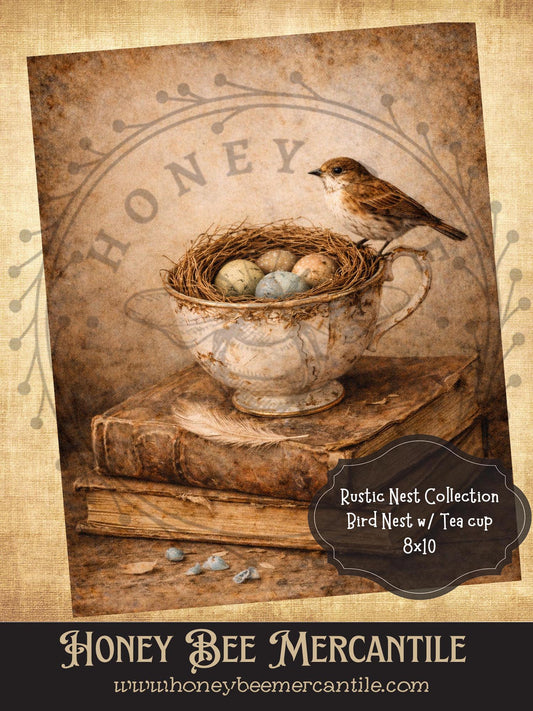 Rustic Nest Collection, Bird Nest in Tea Cup, 8x10, Digital Download, Printable, Decoupage, Vintage, Primitive, Craft