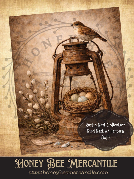 Rustic Nest Collection, Bird in Nest, Lantern, 8x10, Digital Download, Printable, Decoupage, Vintage, Primitive, Craft
