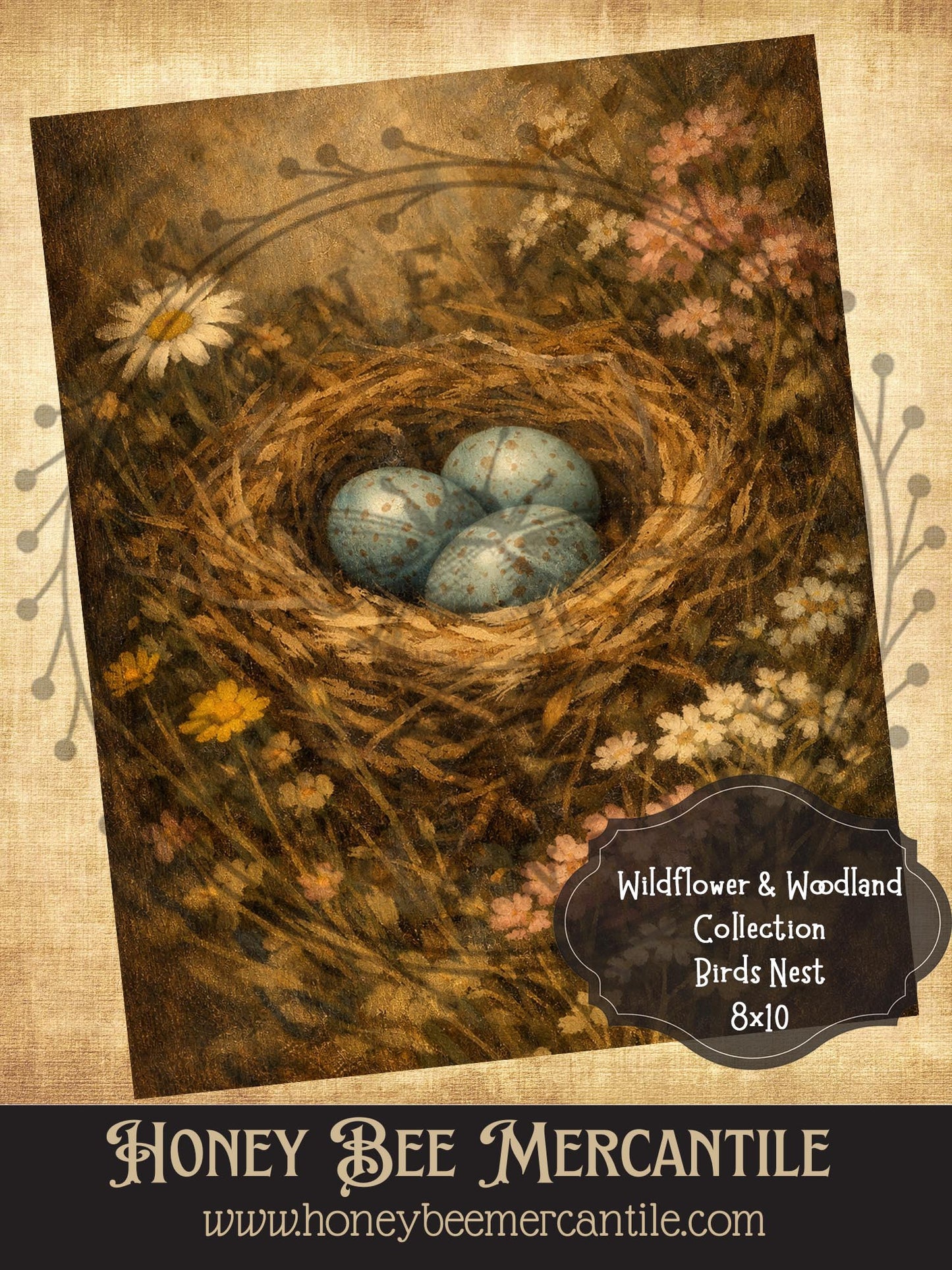 Wildflower and Woodland Collection, Bird's Nest, 8x10, Digital Download, Printable, Decoupage, Vintage, Primitive, Craft Supplies