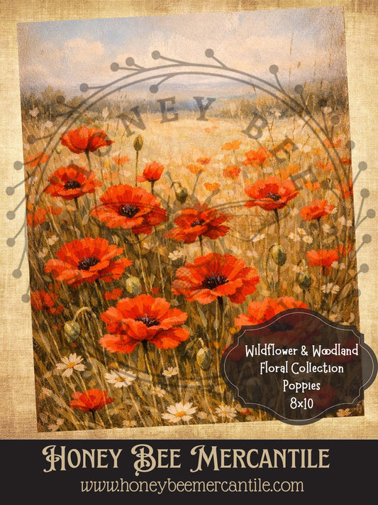 Wildflower and Woodland Floral Collection, Poppies, 8x10, Digital Download, Printable, Decoupage, Vintage, Primitive, Craft Supplies