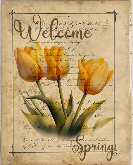 Welcome Spring Yellow Tulips