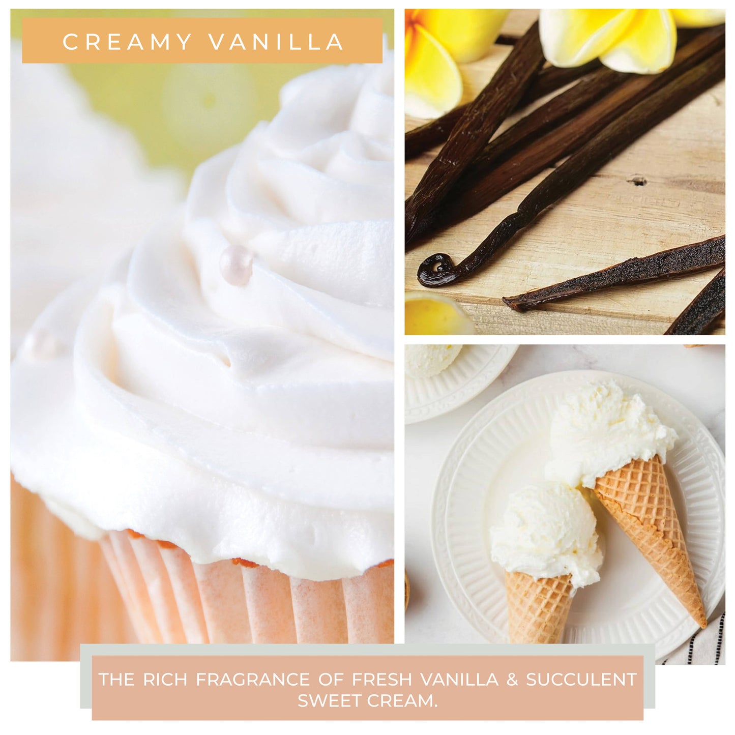 Melts (8/box) - Creamy Vanilla