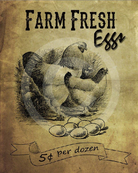 Primitive Farm Fresh Eggs-Printable Digital Feedsack Logo JPEG File-Instant Download-Use for Pillows, Dolls,Bears,Framed Prints,Labels