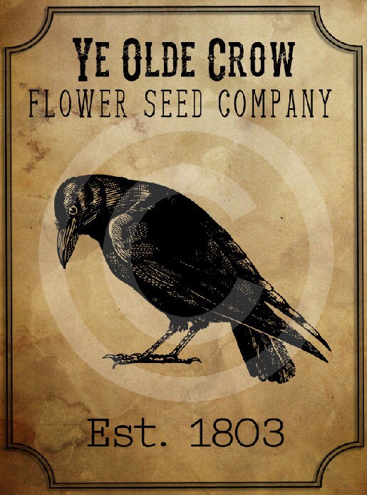 Primitive Old Crow Seed Company-Printable Digital Feedsack Logo JPEG File-Instant Download-Use for Pillows, Dolls,Bears,Framed Prints,Labels
