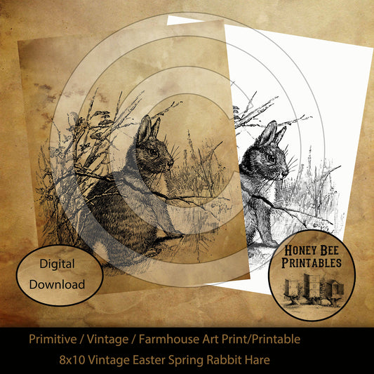 Vintage Primitive Farmhouse Spring Easter Rabbit Print Digital Instant Download Printable Sublimation 8x10 JPEG