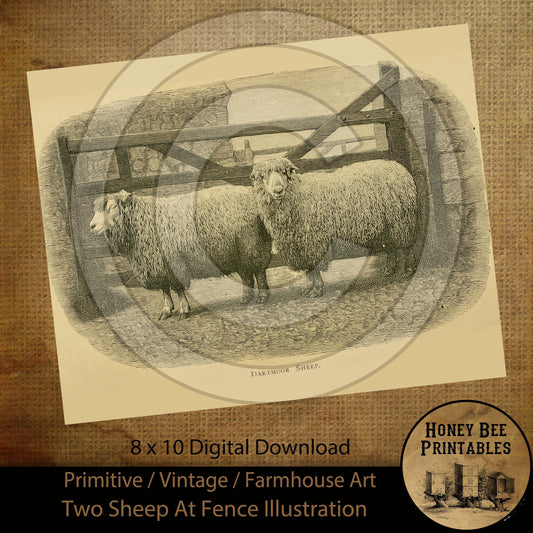 Vintage Antique Illustration Two Sheep at a Fence Digital Instant Download Printable Sublimation 8x10 JPEG Cans Label Journal