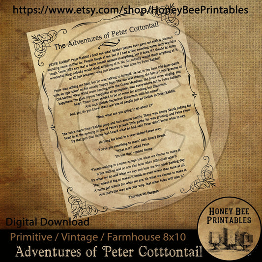 Vintage Primitive Farmhouse Adventures of Peter Cottontail Rabbit Digital Instant Download Printable Sublimation 8x10 JPEG Cans Jars Labels