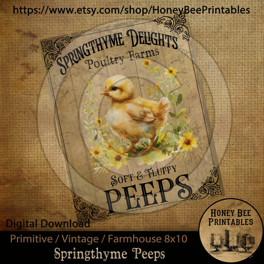 Vintage Primitive Farmhouse Spring Thyme Chicks Poultry  Easter Digital Instant Download Printable Sublimation 8x10 JPEG Cans Jars Labels