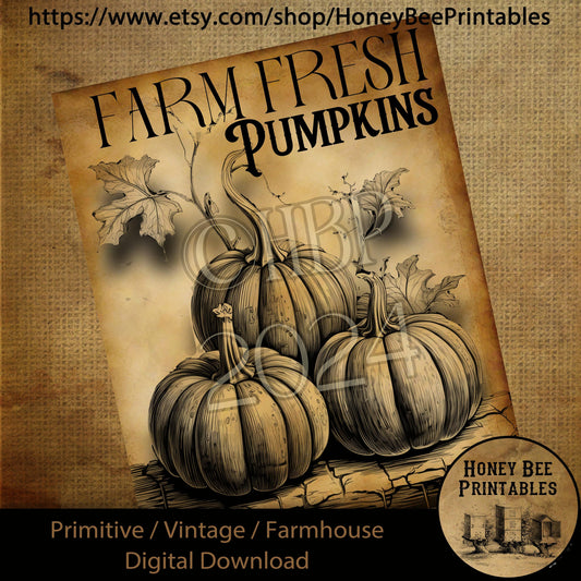 Vintage Digital Download Printable Decoupage Primitive, Farm Fresh Pumpkins, Pumpkins, Pumpkin Patch, Pumpkin Farm, Fall, Autumn, Harvest