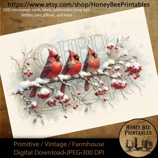 Digital Download, Printable, Decoupage, Primitive, Craft Supplies, Redbird, Cardinal, Winter Birds, Winter, Snowy Branches, Berries, A4