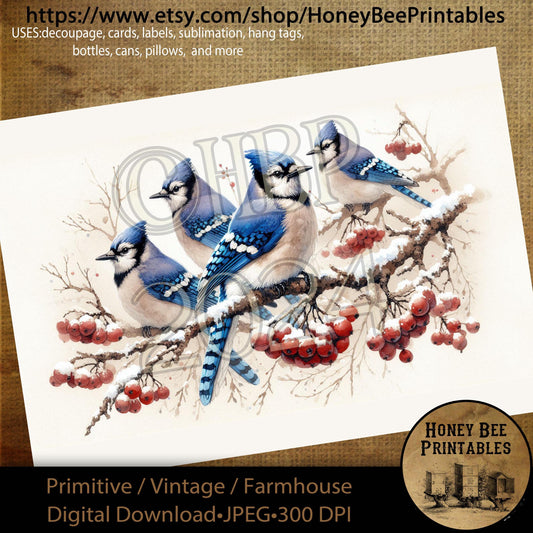Digital Download, Printable, Decoupage, Primitive, Craft Supplies, Winter Birds, Snow, Berries, Snowbird, Branches, Blue Jay Bird, A4
