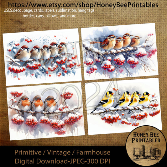 Digital Download, Printable, Decoupage, Primitive, Craft Supplies, Winter Bird, Goldfinch, Sparrow, Robin, Wren, Snow, Birds, A4