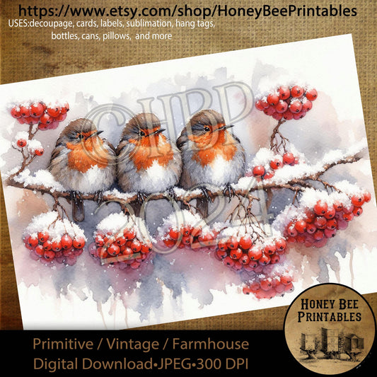 Digital Download, Printable, Decoupage, Primitive, Craft Supplies, Robin, Bird, Winter Birds, Winter, Snowy Branches, Berries, A4