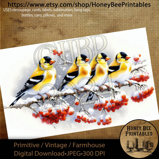 Digital Download, Printable, Decoupage, Primitive, Craft Supplies, Goldfinch, Goldfinch Bird, Winter Birds, Winter, Snow Branch, Berries, A4