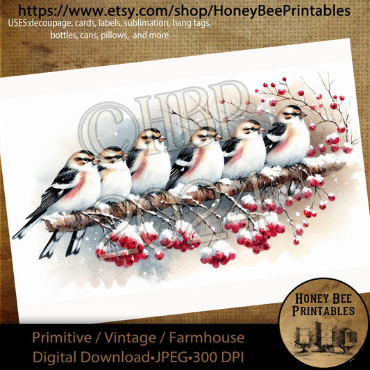 Digital Download, Printable, Decoupage, Primitive, Craft Supplies, Winter Birds, Snow, Berries, Snow Bunting Bird, Snowbird, Branches, A4