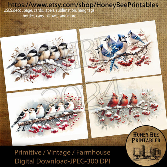 Digital Download, Printable, Decoupage, Primitive, Craft Supplies, Winter Bird, Cardinal, Chickadee, Snow Bunting, Blue Jay, Snow, Birds, A4