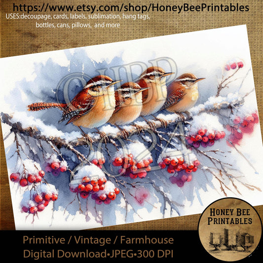 Digital Download, Printable, Decoupage, Primitive, Craft Supplies, Wren Bird, Wren, Winter Birds, Winter, Snowy Branches, Berries, A4